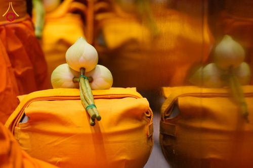 ภาพ No.62094:พิธีอุปสมบทในโครงการอุปสมบทหมู่ บูชาธรรมหลวงพ่อธัมมชโย พ.ศ.2567 ณ อุโบสถ วัดพระธรรมกาย จ.ปทุมธานี วันที่ 13-15 เมษายน พ.ศ. 2567