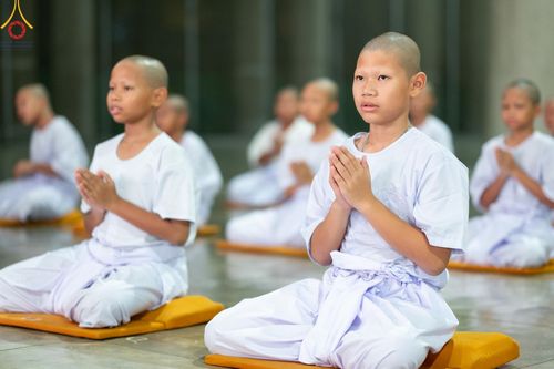 ภาพ No.133657:นาคธรรมทายาทปฏิบัติธรรมก่อนบวช ในโครงการบรรพชาสามเณร ฟื้นฟูพระพุทธศาสนาทั่วไทย ศูนย์อบรมวัดพระธรรมกาย วันที่ 3 เมษายน พ.ศ. 2567