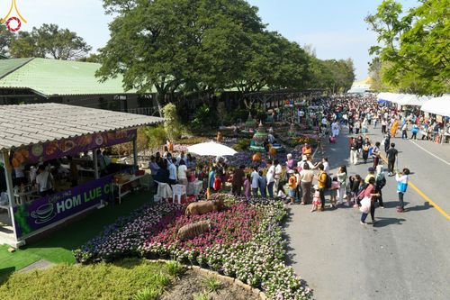 ภาพ No.193977:วัดพระธรรมกาย จัดงานวันเด็กแห่งชาติ ประจำปี พ.ศ.2568 ออกร้านอาหาร 200 ร้าน มอบของขวัญหลายหมื่นชิ้น วันที่ 12 มกราคม พ.ศ. 2568 วัดพระธรรมกาย อ.คลองหลวง จ.ปทุมธานี
