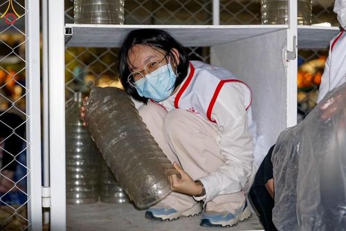 ภาพ No.206632:V.54 สารพัดV สารพัดดี ที่บางปลา ในโครงการธรรมยาตรา กตัญญูบูชา มหาปูชนียาจารย์ พระมงคลเทพมุนี(สด จนฺทสโร) พระผู้ปราบมาร อนุสรณ์สถาน 7 แห่ง ปีที่ 13 ระหว่างวันที่ 2-31 มกราคม พ.ศ. 2568