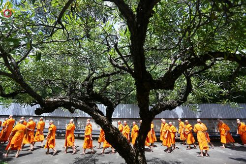 ภาพ No.162219:พิธีถวายภัตตาหารเมนูสวรรค์ เนื่องในวันออกพรรษา (ขึ้น 15 ค่ำ เดือน 11) วันพฤหัสบดีที่ 17 ตุลาคม พ.ศ. 2567 ณ หอฉันคุณยายอาจารย์ฯ วัดพระธรรมกาย