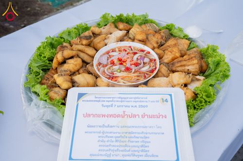 ภาพ No.289561:วันที่ 7 มกราคม พ.ศ. 2569 พิธีถวายภัตตาหารเป็นสังฆทาน แด่พระธรรมยาตรา ในโครงการธรรมยาตรา กตัญญูบูชา มหาปูชนียาจารย์ พระมงคลเทพมุนี(สด จนฺทสโร) พระผู้ปราบมาร อนุสรณ์สถาน 7 แห่ง ปีที่ 14 ณ อนุสรณ์สถานมหาวิหารพระมงคลเทพมุนี (โลตัสแลนด์) อ.สองพี่น้อง จ.สุพรร