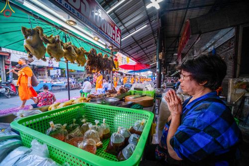 ภาพ No.105647:พิธีต้อนรับพระธรรมยาตรา ในโครงการธรรมยาตรากตัญญูบูชา มหาปูชนียาจารย์ พระมงคลเทพมุนี(สด จนฺทสโร) พระผู้ปราบมาร อนุสรณ์สถาน 7 แห่ง ปีที่ 12 วันที่ 3 มกราคม พ.ศ. 2567 ณ อนุสรณ์สถานโลตัสแลนด์ จ.สุพรรณบุรี