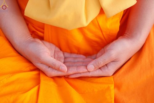 ภาพ No.72681:พุทธบุตรธรรมยาตรา ปฏิบัติธรรมและบันทึกภาพประวัติศาสตร์ ในโครงการธรรมยาตรากตัญญูบูชา มหาปูชนียาจารย์ พระมงคลเทพมุนี(สด จนฺทสโร) พระผู้ปราบมาร อนุสรณ์สถาน 7 แห่ง ปีที่ 11 ณ วัดสองพี่น้อง อ.สองพี่น้อง จ.สุพรรณบุรี วันที่ 15 มกราคม พ.ศ. 2566