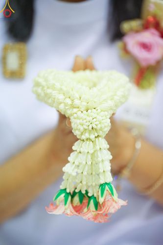 ภาพ No.154419:พิธีบูชาครูผู้ค้นพบวิชชาธรรมกาย ณ สภาธรรมกายสากล วัดพระธรรมกาย วันอังคารที่ 17 กันยายน พ.ศ. 2567