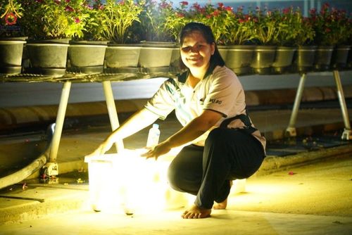 ภาพ No.158675:V.46 อาสาสมัครและเจ้าหน้าที่ทุกสถานะ ร่วมแรงร่วมใจรับบุญเตรียมงาน เก็บงาน งานบุญในเดือนกันยายน พ.ศ. 2567 ณ วัดพระธรรมกาย