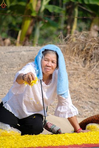ภาพ No.290398:วันที่ 7 มกราคม พ.ศ. 2569 พิธีต้อนรับพระธรรมยาตรา ณ อนุสรณ์สถานลำดับที่ 2  สถานที่ตั้งมโนปณิธานบวชตลอดชีวิต อนุสรณ์สถานคลองบางนางแท่น (ภาพชุดที่ 2) อ.สามพราน จ.นครปฐม ในโครงการธรรมยาตรา กตัญญูบูชา มหาปูชนียาจารย์ พระมงคลเทพมุนี(สด จนฺทสโร) พระผู้ปราบมาร 
