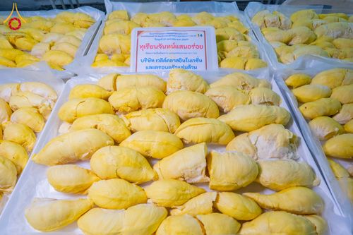 ภาพ No.299257:วันที่ 21 มกราคม พ.ศ. 2569 พิธีถวายภัตตาหารเป็นสังฆทาน แด่พระธรรมยาตรา ณ อนุสรณ์สถานบางปลา วัดบางปลา อำเภอบางเลน จังหวัดนครปฐม ในโครงการธรรมยาตรา กตัญญูบูชา มหาปูชนียาจารย์ พระมงคลเทพมุนี(สด จนฺทสโร) พระผู้ปราบมาร อนุสรณ์สถาน 7 แห่ง ปีที่ 14