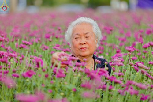 ภาพ No.102887:สาธุชนร่วมรับบุญเก็บดอกเบญจทรัพย์ ในวันที่ 19 ธันวาคม พ.ศ. 2566 (วันแรก) ณ บริเวณวัดพระธรรมกาย จ.ปทุมธานี