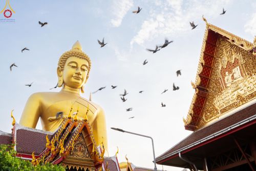 ภาพ No.119129:พิธีจุดประทีปถวายเป็นพุทธบูชา และบูชาธรรมมหาปูชนียาจารย์ พระมงคลเทพมุนี(สด จนฺทสโร) ในโครงการธรรมยาตราฯ วันที่ 26 มกราคม พ.ศ. 2567 ณ อาคารธรรมยาตรา กตัญญูบูชามหาปูชนียาจารย์ ตรงข้ามวัดปากน้ำภาษีเจริญ จ.กรุงเทพมหานคร