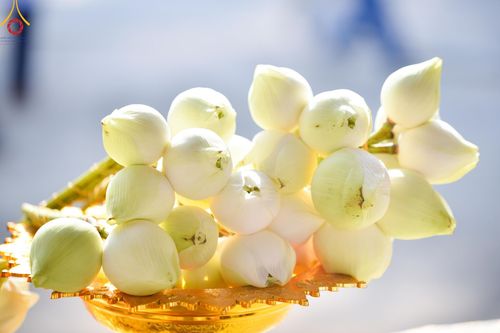 ภาพ No.133588:พิธีบรรพชาสามเณร ณ ศูนย์ปฏิบัติธรรมเขาคิชฌกูฏ จ.จันทบุรี วันที่ 4 เมษายน พ.ศ. 2567