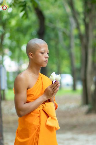 ภาพ No.136241:พิธีอุปสมบทสามเณรเตรียมสถาบันธรรมชัย รุ่นที่ 21 ณ โบสถ์พระไตรปิฏก วัดพระธรรมกาย วันเสาร์ที่ 4 พฤษภาคม พ.ศ.2567