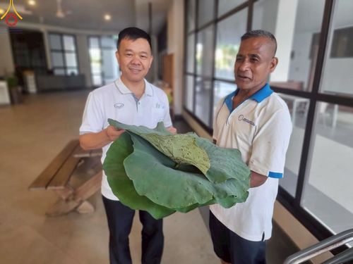 ภาพ No.223115:วันที่ 2 -10 พฤษภาคม พ.ศ. 2568 พิธีตัดปอยผม ปลงผม พิธีขอขมาลาอุปสมบทอุทิศชีวิต ของอุบาสก พิสิทธิ์ หมื่นแกล้ว  ณ วัดพระธรรมกาย