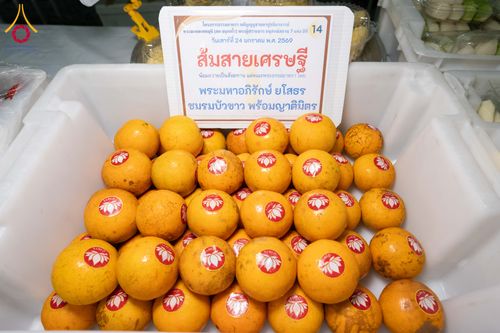 ภาพ No.301812:วันที่ 24 มกราคม พ.ศ. 2569 พิธีถวายภัตตาหารเป็นสังฆทาน แด่พระธรรมยาตรา ณ อนุสรณ์สถานบางปลา วัดบางปลา อำเภอบางเลน จังหวัดนครปฐม ในโครงการธรรมยาตรา กตัญญูบูชา มหาปูชนียาจารย์ พระมงคลเทพมุนี(สด จนฺทสโร) พระผู้ปราบมาร อนุสรณ์สถาน 7 แห่ง ปีที่ 14