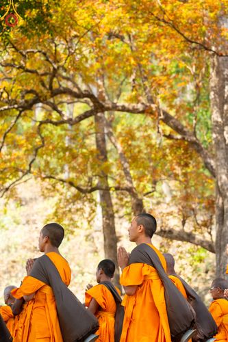 ภาพ No.315733:วันอังคารที่ 24 มีนาคม พ.ศ.2569 ธรรมยาตราจาริก ณ ป่ามหาวัน ประเทศเนปาล