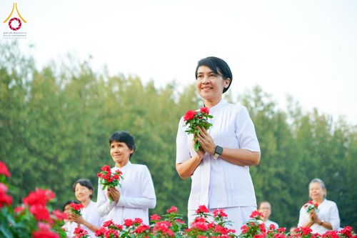 ภาพ No.185470:กิจกรรมเก็บดอกแพงรวย วันอาทิตย์ที่ 22 ธันวาคม พ.ศ. 2567 ณ ทุ่งสวรรค์ ตะวันฉาย วัดพระธรรมกาย