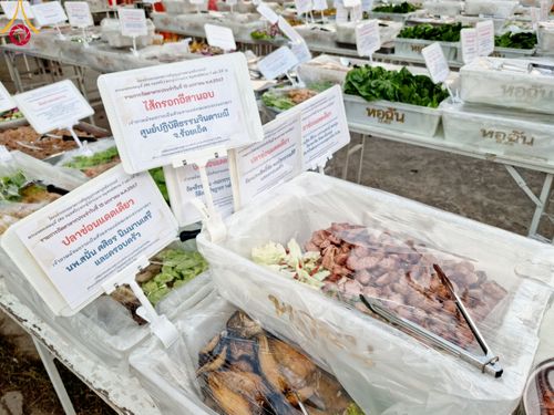 ภาพ No.112892:พิธีถวายภัตตาหารเป็นสังฆทาน แด่คณะพระธรรมยาตรา ปีที่ 12 วันที่ 15 มกราคม พ.ศ. 2567 ณ วัดสองพี่น้อง จ.สุพรรณบุรี