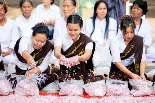 ภาพ No.113110:พิธีต้อนรับพระธรรมยาตรา ปีที่ 12 วันที่ 15 มกราคม พ.ศ. 2567 ณ วัดโบสถ์บน จ.นนทบุรี
