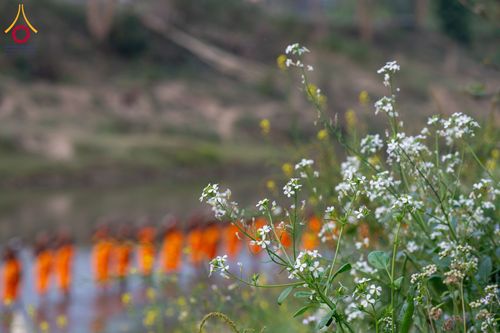 ภาพ No.131390:Photo Story ปฐมบรรพชาชาวพุทธมาร์มา Episode 5/5 วันที่ 13-16 กุมภาพันธ์ พ.ศ. 2567 ประเทศบังกลาเทศ