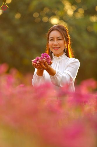 ภาพ No.102925:สาธุชนร่วมรับบุญเก็บดอกเบญจทรัพย์ ในวันที่ 19 ธันวาคม พ.ศ. 2566 (วันแรก) ณ บริเวณวัดพระธรรมกาย จ.ปทุมธานี