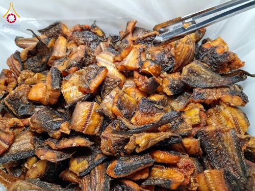 ภาพ No.119928:พิธีถวายภัตตาหารเป็นสังฆทาน แด่คณะพระธรรมยาตรา ปีที่ 12 วันที่ 28 มกราคม พ.ศ. 2567 ณ อนุสรณ์สถานบางปลา จ.นครปฐม