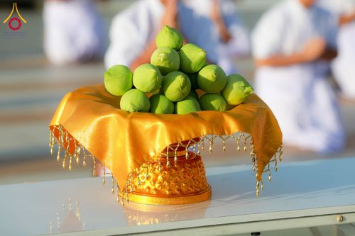 ภาพ No.144091:พิธีบรรพชาอุปสมบทหมู่ พระธรรมทายาทนานาชาติ(ภาษาจีน) รุ่น 19 ณ วัดพระธรรมกาย จ.ปทุมธานี วันเสาร์ที่ 13 กรกฎาคม พ.ศ. 2567