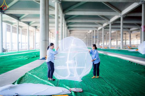 ภาพ No.220581:วันที่ 22 - 25 เมษายน พ.ศ. 2568 การต้อนรับพักค้างพระสังฆาธิการ และการเก็บงานพักค้าง เพื่องานวันคุ้มครองโลก ณ วัดพระธรรมกาย