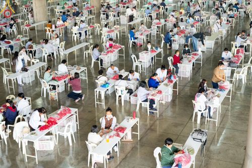 ภาพ No.187280:สาธุชน เจ้าหน้าที่ ร่วมบุญปลิดกลีบดอกไม้ เพื่อโปรยต้อนรับพระธรรมยาตรา ตั้งแต่วันที่ 26 ธันวาคม พ.ศ. 2567 ณ วิหารคด 31 วัดพระธรรมกาย