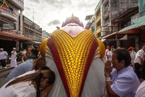 ภาพ No.128558:พิธีอัญเชิญพระบรมสารีริกธาตุ " ใจกลางเมืองนครหาดใหญ่ " เพื่อประดิษฐาน ณ มหารัตนเจดีย์สิริปทุมสวรรค์ (เจดีย์อริยพุทธะ 5 พระองค์) ศูนย์ปฏิบัติธรรมภาคใต้ อ.บางกล่ำ จ.สงขลา  วันที่ 9 มีนาคม พ.ศ. 2567 (ชุดที่ 2)