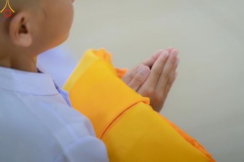 ภาพ No.135123: พิธีบรรพชาสามเณร  พิธีตักบาตรฉลองสามเณรใหม่ วันที่ 1 เมษายน พ.ศ.2567 ในโครงการบรรพชาสามเณรฟื้นฟูพระพุทธศาสนาทั่วไทย ณ ศูนย์ปฏิบัติธรรมแก้วเมืองเลย