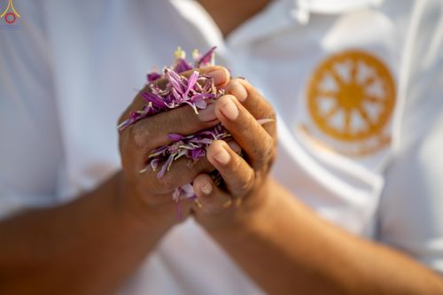 ภาพ No.299329:วันที่ 18 มกราคม พ.ศ. 2569 พิธีต้อนรับพระธรรมยาตรา ณ อนุสรณ์สถานลำดับที่ 5 สถานที่เผยแผ่วิชชาธรรมกายครั้งแรก อนุสรณ์สถานบางปลา วัดบางปลา อำเภอบางเลน จังหวัดนครปฐม ในโครงการธรรมยาตรา กตัญญูบูชา มหาปูชนียาจารย์ พระมงคลเทพมุนี(สด จนฺทสโร) พระผู้ปราบมาร อนุส