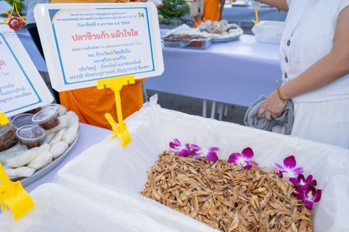 ภาพ No.288135:วันที่ 4 มกราคม พ.ศ. 2569 พิธีถวายภัตตาหารเป็นสังฆทาน แด่พระธรรมยาตรา ในโครงการธรรมยาตรา กตัญญูบูชา มหาปูชนียาจารย์ พระมงคลเทพมุนี(สด จนฺทสโร) พระผู้ปราบมาร อนุสรณ์สถาน 7 แห่ง ปีที่ 14 ณ อนุสรณ์สถานมหาวิหารพระมงคลเทพมุนี (โลตัสแลนด์) อ.สองพี่น้อง จ.สุพรร