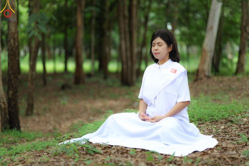 ภาพ No.155036:โครงการอุบาสกแก้ว อุบาสิกาแก้ว รุ่นที่ 2 ตัวแทนทอดกฐินสามัคคีทั่วไทย 30,000 วัด บูชาธรรม 80 ปี หลวงพ่อธัมมชโย จังหวัดบุรีรัมย์ ระหว่างวันที่ 13-15 กันยายน พ.ศ. 2567