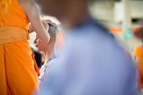 ภาพ No.228550:วันเสาร์ที่ 7 มิถุนายน พ.ศ. 2568 พิธีปลงผมโครงการอุปสมบทหมู่ธรรมทายาท ระดับอุดมศึกษา รุ่นที่ 52 ภาคฤดูฝน ณ วิหารคด 9 วัดพระธรรมกาย