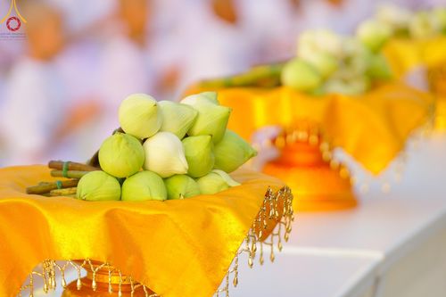 ภาพ No.133751:พิธีเวียนประทักษิณและพิธีวันทาเจดีย์ โครงการบรรพชาสามเณร ฟื้นฟูพระพุทธศาสนาทั่วไทย ณ วัดพระธรรมกาย วันเสาร์ที่ 6 เมษายน พ.ศ. 2567