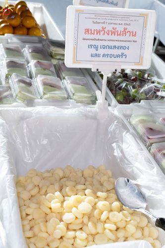 ภาพ No.190498:สาธุชนถวายภัตตาหารเป็นสังฆทาน แด่พระธรรมยาตรา ณ อนุสรณ์สถานมหาวิหารพระมงคลเทพมุนี (โลตัสแลนด์) อ.สองพี่น้อง จ.สุพรรณบุรี ในโครงการธรรมยาตรา กตัญญูบูชา มหาปูชนียาจารย์ พระมงคลเทพมุนี(สด จนฺทสโร) พระผู้ปราบมาร แห่ง ปีที่ 13 วันที่ 7 มกราคม พ.ศ.2568