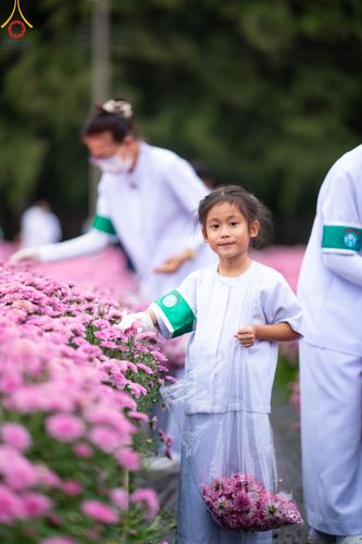 ภาพ No.104049:สาธุชนร่วมรับบุญเก็บดอกเบญจทรัพย์ ในวันอาทิตย์ที่ 24 ธันวาคม พ.ศ. 2566 ณ ทุ่งสวรรค์ตะวันฉาย บริเวณวัดพระธรรมกาย จ.ปทุมธานี