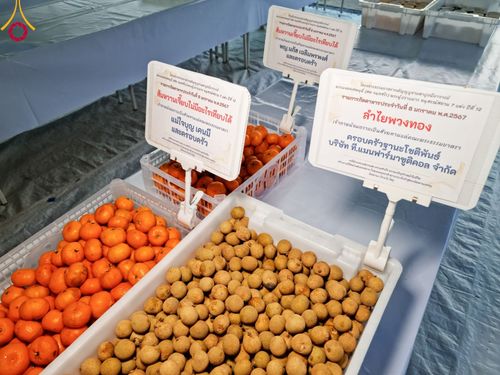 ภาพ No.108122:พิธีถวายภัตตาหารเป็นสังฆทาน แด่คณะพระธรรมยาตราฯ ในโครงการธรรมยาตรากตัญญูบูชา มหาปูชนียาจารย์ พระมงคลเทพมุนี(สด จนฺทสโร) พระผู้ปราบมาร อนุสรณ์สถาน 7 แห่ง ปีที่ 12 วันที่ 8 มกราคม พ.ศ. 2567 ณ อนุสรณ์สถานมหาวิหารพระมงคลเทพมุนี (โลตัสแลนด์) อ.สองพี่น้อง จ.สุ