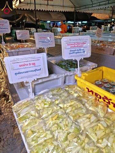 ภาพ No.118754:พิธีถวายภัตตาหารเป็นสังฆทาน แด่คณะพระธรรมยาตรา วันที่ 25 มกราคม พ.ศ. 2567 ณ อนุสรณ์สถานบางนางแท่น จ.นครปฐม