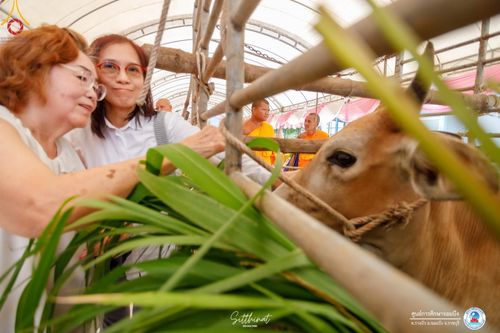 ภาพ No.161181:พิธีถวายมหาสังฆทาน 31 วัด , พิธีบุพเปตพลี , พิธีไถ่ชีวิตโค และ ปล่อยพันธ์ุปลาจำนวน 50,000 ชีวิต ณ ศูนย์การศึกษาจอมบึง ต.รางบัว อ.จอมบึง จ.ราชบุรี วันที่ 28 กันยายน พ.ศ. 2567