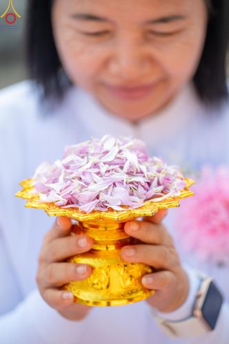 ภาพ No.113077:พิธีต้อนรับพระธรรมยาตรา ปีที่ 12 วันที่ 15 มกราคม พ.ศ. 2567 ณ วัดโบสถ์บน จ.นนทบุรี