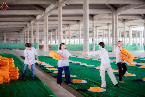 ภาพ No.219045:วันที่ 19-21 เมษายน พ.ศ. 2568 การเตรียมงานในลานธรรม , วิหารคด เพื่องานวันคุ้มครองโลก 22 เมษายน พ.ศ. 2568