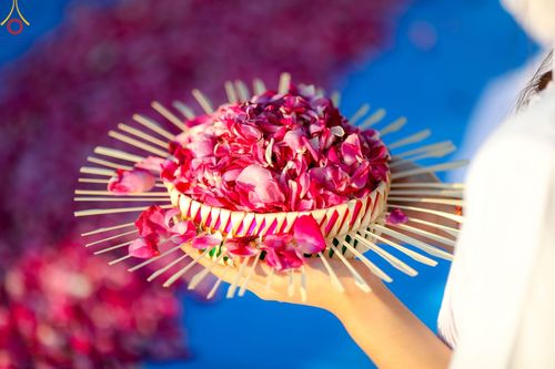 ภาพ No.104099:พิธีเดินธรรมยาตรา สามเณรธรรมทายาทชาวอินโดนีเซียกว่า 1,000 รูป ณ มหาเจดีย์บุโรพุทโธ ประเทศอินโดนีเซีย ในวันที่ 21 ธันวาคม พ.ศ. 2566