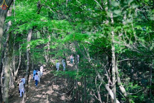ภาพ No.136457:คณะพระภิกษุสงฆ์และกัลยาณมิตรชาวสิงคโปร์ เดินทางมาปฏิบัติธรรม ณ วัดป่าธรรมกายนานาชาติโทชิหงิ ประเทศญี่ปุ่น ระหว่างวันที่ 27 เมษายน  - 2 พฤษภาคม พ.ศ. 2567