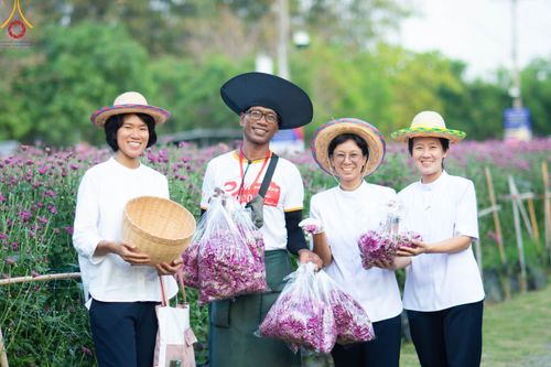 ภาพ No.102892:สาธุชนร่วมรับบุญเก็บดอกเบญจทรัพย์ ในวันที่ 19 ธันวาคม พ.ศ. 2566 (วันแรก) ณ บริเวณวัดพระธรรมกาย จ.ปทุมธานี