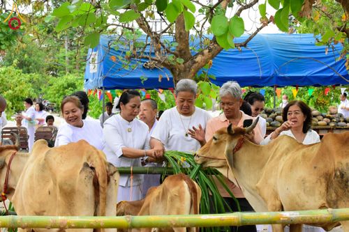 ภาพ No.210638:วันพฤหัสบดีที่ 13 มีนาคม พ.ศ. 2568  สมโภชพระประธานอุโบสถวัดป่าอุบลแก้ว จังหวัดอุบลราชธานี