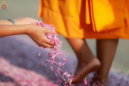 ภาพ No.113213:พิธีต้อนรับพระธรรมยาตรา ปีที่ 12 วันที่ 15 มกราคม พ.ศ. 2567 ณ วัดโบสถ์บน จ.นนทบุรี