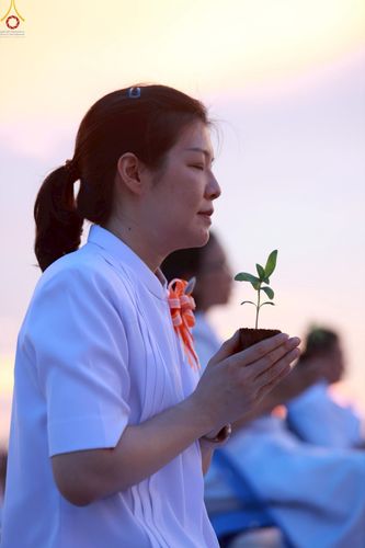 ภาพ No.253001:วันที่ 10 ตุลาคม พ.ศ. 2568 พิธีปลูกต้นทรัพย์บานชื่น ณ ลานธรรม วัดพระธรรมกาย