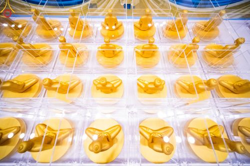 ภาพ No.159456:สัมมนาพิเศษและพิธีมอบองค์พระธรรมกาย 2,000 องค์ ณ ห้องแก้วสารพัดนึก 1 วัดพระธรรมกาย วันอาทิตย์ต้นเดือนที่ 6 ตุลาคม พ.ศ. 2567