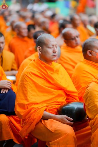 ภาพ No.85877:ตักบาตรพระนานาชาติ 10,000 รูป ใจกลางนครหาดใหญ่ จ.สงขลา วันอาทิตย์ที่ 20 สิงหาคม พ.ศ. 2566